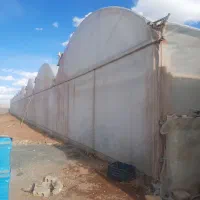 فروش گلخانه صنعتی|فروش دفتر صنعتی، کشاورزی، تجاری|عسگران, |دیوار