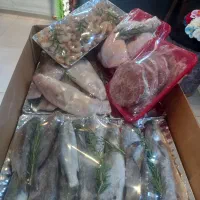 پکیچ کامل فقط دوتومن|خوردنی و آشامیدنی|حمیدیا, |دیوار