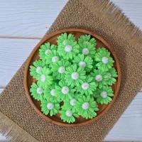 شمع بابونه