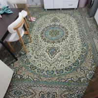 فرش 12 متری سالم و تمیز|فرش|رشت, پیرسرا|دیوار