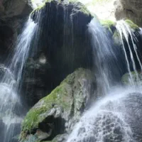 راهنمایی برای طبیعت گردی جنگل|تور و چارتر|مشهد, دانش|دیوار