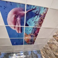 نصاب سقف کاذب