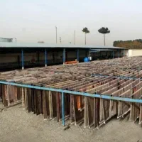 « قالیشویی ممتاز ادیب »