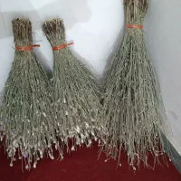 جارو دستی