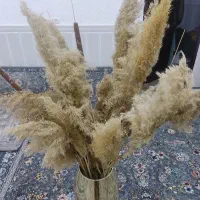 فروش گلدان طلایی