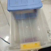 سه کشویی|جاکفشی، کمد، دراور|گرگان, |دیوار