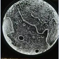 تابلو ماه سالم و نو