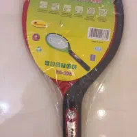 حشره کش برقی