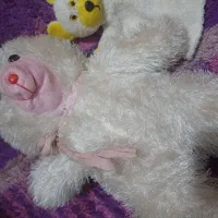 عروسک|اسباب‌بازی بچه|رشت, کوی مهر|دیوار