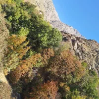 تور نیمروزه ی انگلیسی