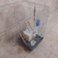 قفس در حد نو