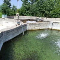 استخر پرورش ماهی سردابی