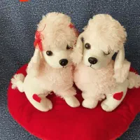 فروش فوری عروسکهای زیبا|اسباب‌بازی بچه|سنندج, |دیوار