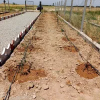 باغچه ۲۵۰ متری در ایجدان|فروش زمین و ملک کلنگی|جوادآباد, |دیوار