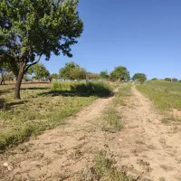 10-هکتار-باغ-و-زمین-کشاورزی