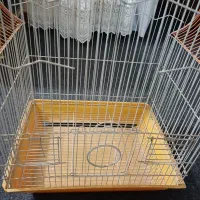 قفس|لوازم جانبی حیوانات|خمینی‌شهر, |دیوار