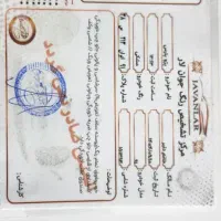 پرشیا 91|خودرو سواری و وانت|پارس‌آباد, |دیوار