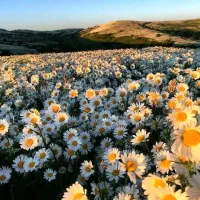فندوقلو اردبیل