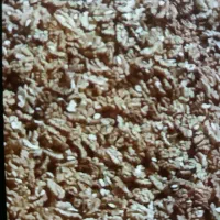 پاک کردن مغزپسته وگردوشکستن