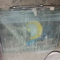 آکواریوم