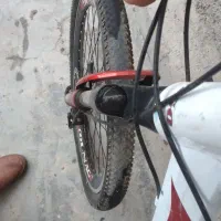 دوچرخه مارکcolnago|دوچرخه، اسکیت، اسکوتر|فارسان, |دیوار