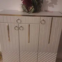 جاکفشی وزیر تلویزیون