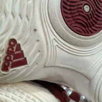 کتونی آدیداس ۵۱|کیف، کفش، کمربند|شمشک, |دیوار