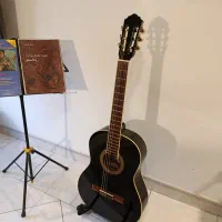 گیتار هافنر آلمان