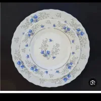 سرویس غدا خوری پارس اوپال