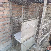جفت گاه کفتر