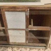 فروش جانگهداری کفتر یامرغ