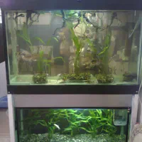 آکواریوم بزرگ و کوچک