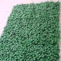 گرین وال نو