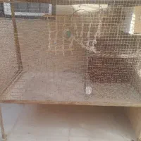 قفس پرنده