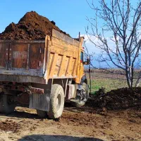 کود کود گاوی