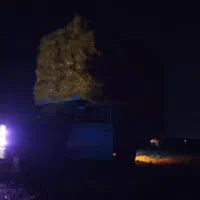 کاه شالی،کمل