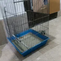 قفس پرنده|لوازم جانبی حیوانات|دماوند, گیلاوند|دیوار