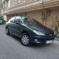 206 سالم واقعی