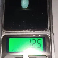 فیروزه نیشابوری