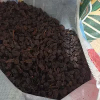 کشمش بیدانه افتابی