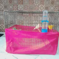 قفس پرنده