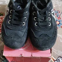 بوت|کیف، کفش، کمربند|کرج, کوی امامیه|دیوار