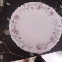 پلوخوری