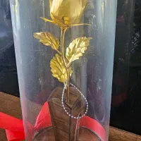 گل مصموعی