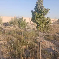 فروش چهار دیواری در علی آباد