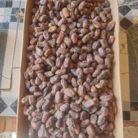 خرماه سعمران زاهدی درجه یک کاز شداه|عمده‌فروشی|شادگان, |دیوار