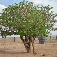 زمین-محصور-آب-شرب-برق