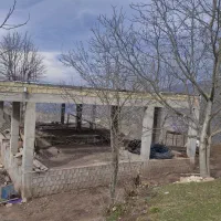 6هزار متر زمین جنگلی و کوهستانی