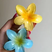 بار جدید کلیپس گل پلومریا رسید،گالری جورواجور یزد