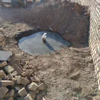 مقنی و حفاری چاه جاوید|خدمات پیشه و مهارت|سبزوار, گلشن|دیوار